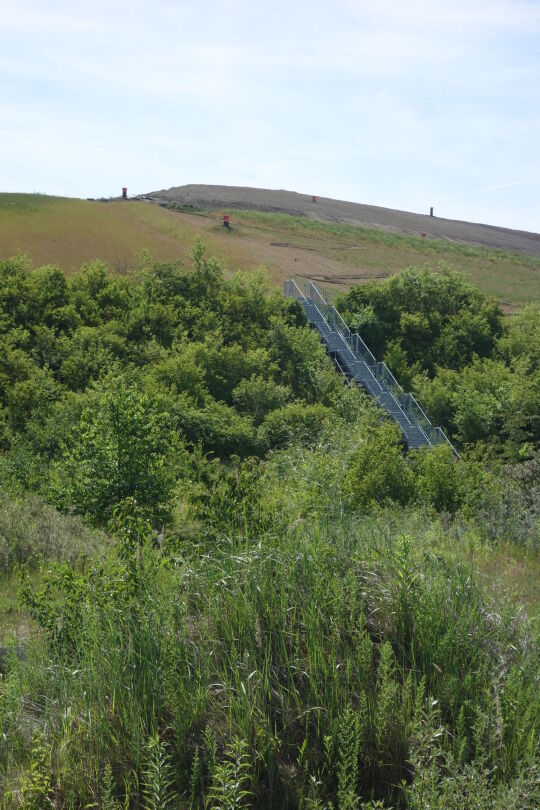 Aussichtspunkt auf der Großdeponie Cröbern, Großpösna