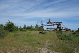 Blick in die Anlagen des Bergbau-Technik-Park bei Großpösna.