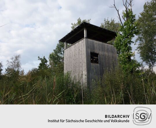 Der Aussichtsturm am Dubringer Moor bei Wittichenau-Neudorf Teichhaus.