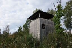 Der Aussichtsturm am Dubringer Moor bei Wittichenau-Neudorf Teichhaus.