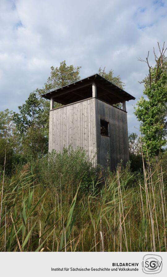 Der Aussichtsturm am Dubringer Moor bei Wittichenau-Neudorf Teichhaus.