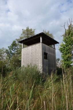 Der Aussichtsturm am Dubringer Moor bei Wittichenau-Neudorf Teichhaus.