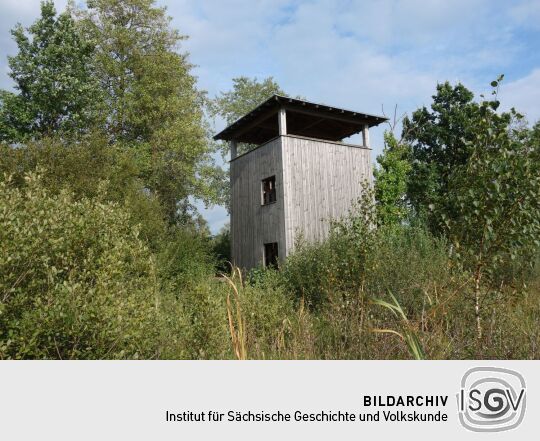 Der Aussichtsturm am Dubringer Moor bei Wittichenau-Neudorf Teichhaus.