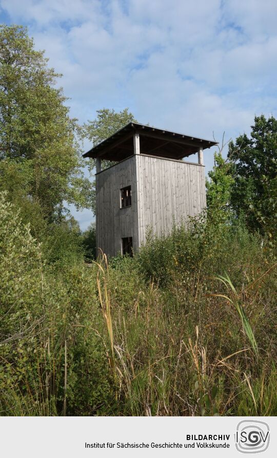 Der Aussichtsturm am Dubringer Moor bei Wittichenau-Neudorf Teichhaus.