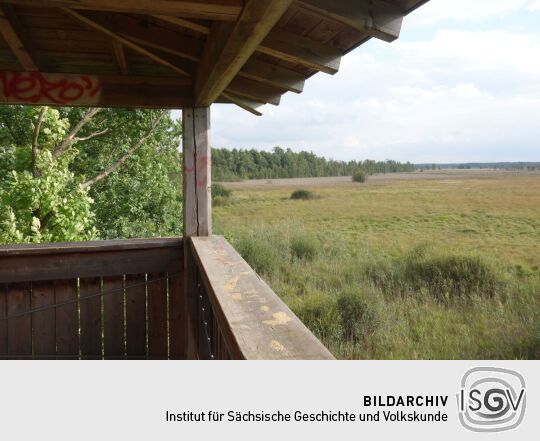 Der Ausblick vom Aussichtsturm am Dubringer Moor bei Wittichenau-Neudorf Teichhaus.