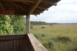 Der Ausblick vom Aussichtsturm am Dubringer Moor bei Wittichenau-Neudorf Teichhaus.