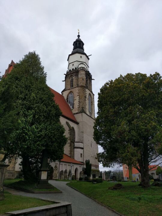 Die Kirche St. Marien in Kamenz.
