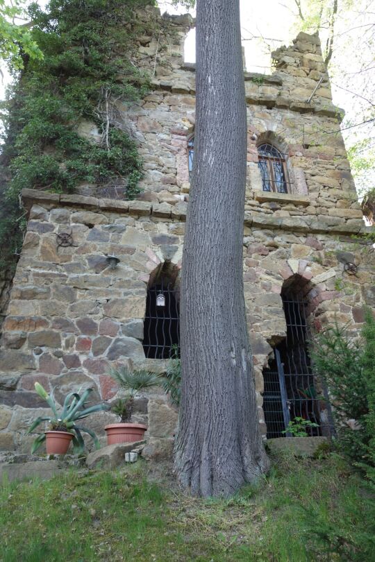 Blick an der Mulde entlang zur Großmühle in Grimma.