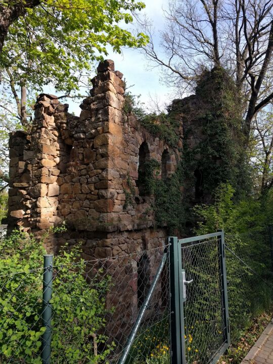 Die künstliche Ruine im Hanggarten an der Gattersburg in Grimma.