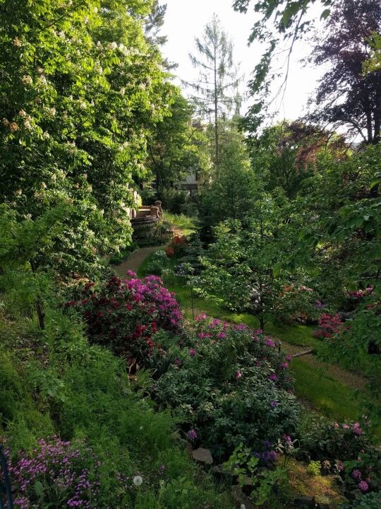 Blick in den Hanggarten an der Gattersburg in Grimma.