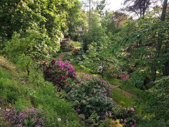 Blick in den Hanggarten an der Gattersburg in Grimma.