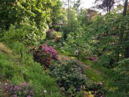 Blick in den Hanggarten an der Gattersburg in Grimma.
