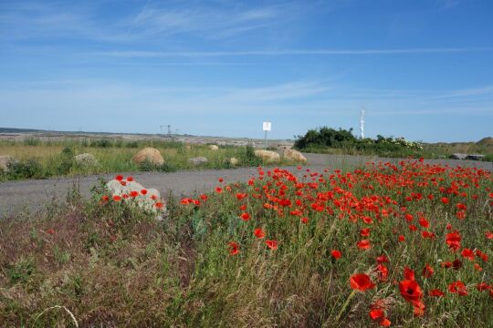 Am ehemaligen Aussichtspunkt Tagebau Vereinigtes Schleenhain bei Deutzen.