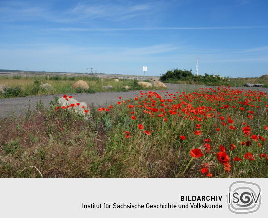 Am ehemaligen Aussichtspunkt Tagebau Vereinigtes Schleenhain bei Deutzen.