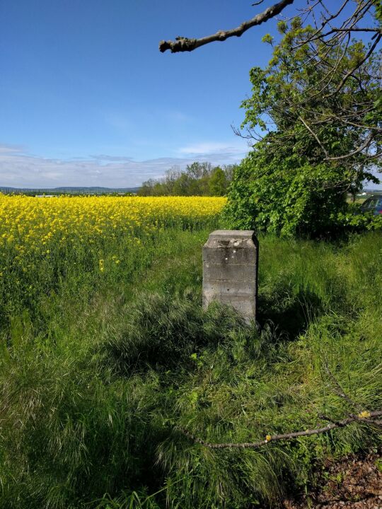 Der ehemalige Standplatz der Nagelschen Säule und der heute aufgeschüttete Aussichtshügel auf dem Steinhübel bei Unkersdorf.