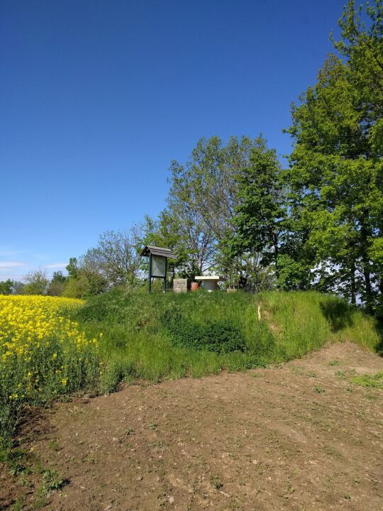 Der heute aufgeschüttete Aussichtshügel auf dem Steinhübel bei Unkersdorf.