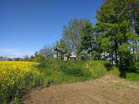 Der heute aufgeschüttete Aussichtshügel auf dem Steinhübel bei Unkersdorf.