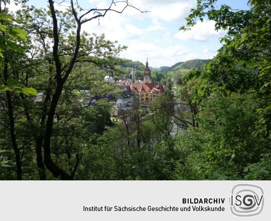 Das Zentrum von Waldheim mit dem Rathaus vom Eichberg aus.