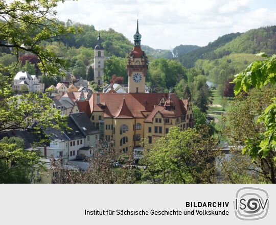 Das Zentrum von Waldheim mit dem Rathaus vom Eichberg aus.
