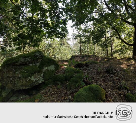 Die Höhe auf der Vorderen Platte bei Krebes bietet in Richtung Osten keine Aussicht.