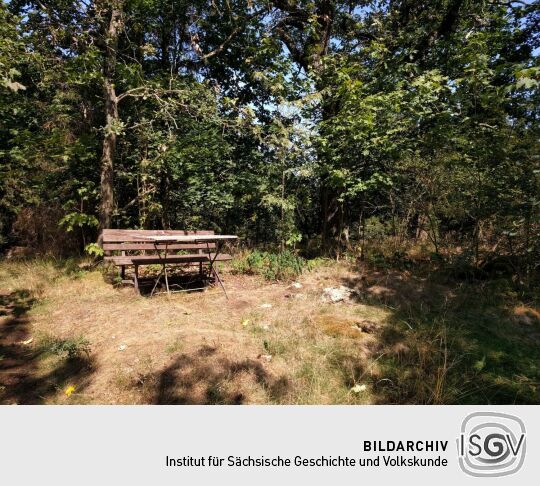 Die Höhe auf der Vorderen Platte bei Krebes bietet in Richtung Osten keine Aussicht.