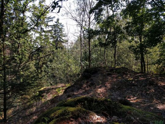 Die Höhe auf der Vorderen Platte bei Krebes bietet in Richtung Osten keine Aussicht.