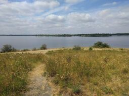 Blick über den Werbeliner See in Richtung Westen.