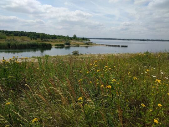 Blick über den Werbeliner See in Richtung Westen.