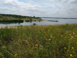 Blick über den Werbeliner See in Richtung Westen.