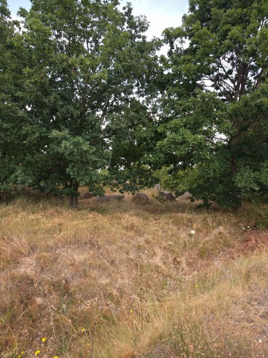 Auf dem Brodauer Zinken, einer neu entstandenen Halbinsel im Werbeliner See.