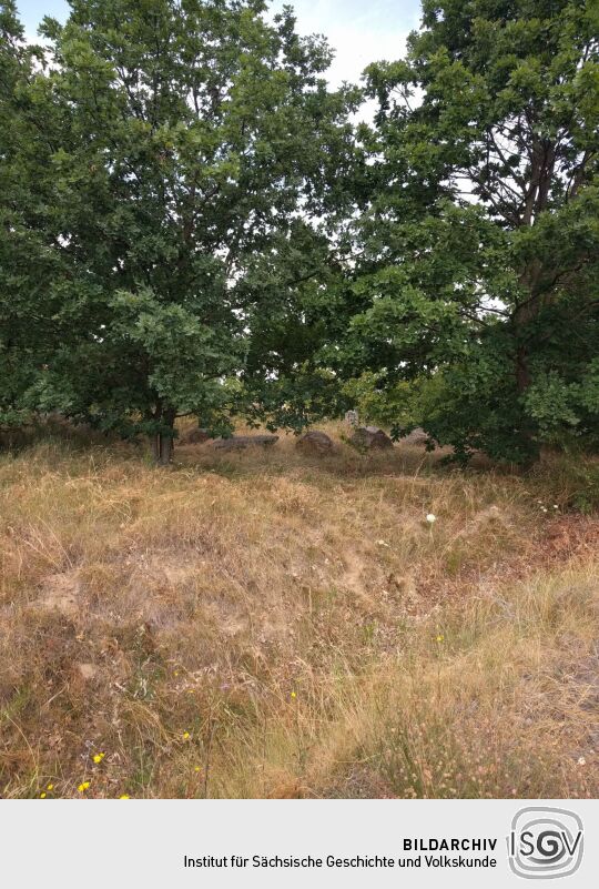 Auf dem Brodauer Zinken, einer neu entstandenen Halbinsel im Werbeliner See.