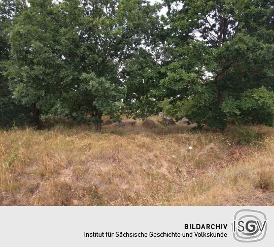 Auf dem Brodauer Zinken, einer neu entstandenen Halbinsel im Werbeliner See.