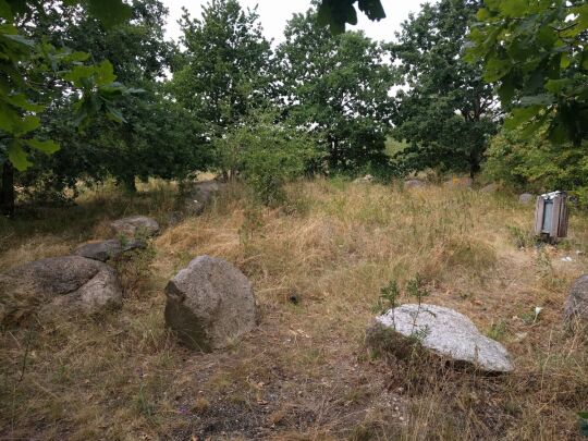 Auf dem Brodauer Zinken, einer neu entstandenen Halbinsel im Werbeliner See.