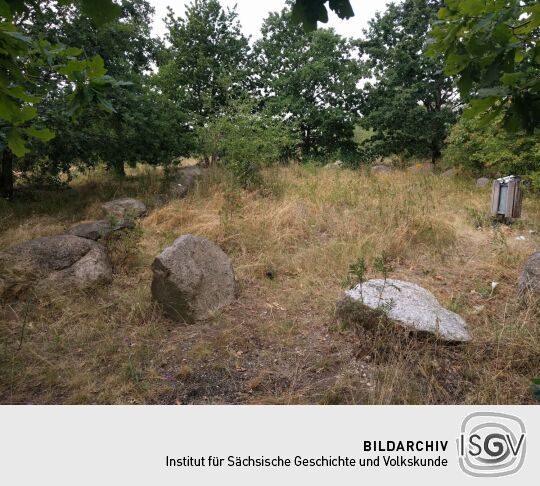 Auf dem Brodauer Zinken, einer neu entstandenen Halbinsel im Werbeliner See.