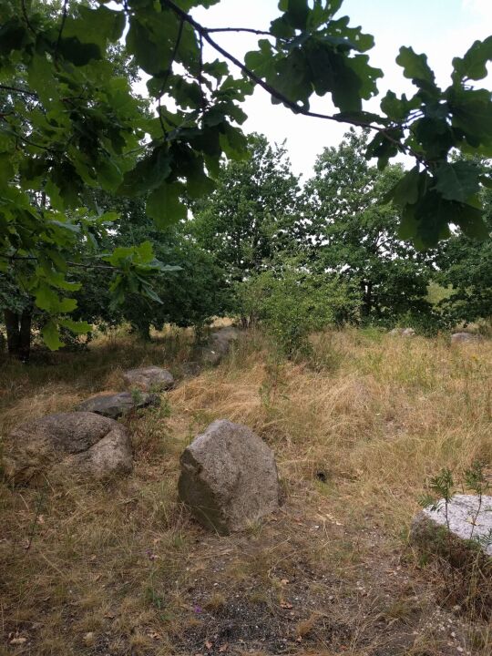 Auf dem Brodauer Zinken, einer neu entstandenen Halbinsel im Werbeliner See.