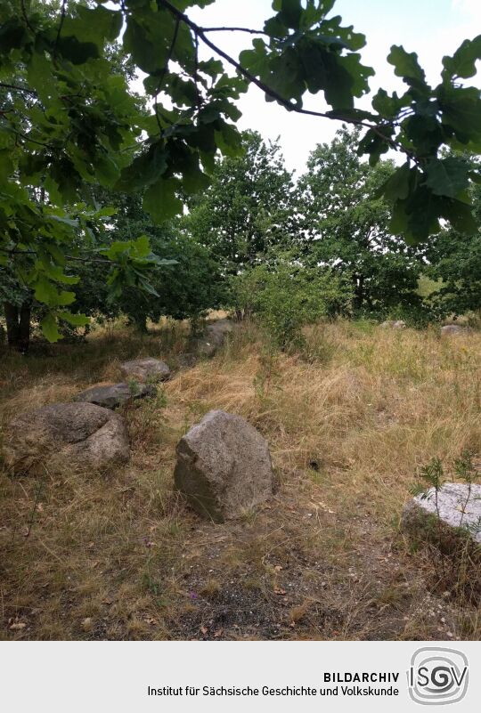 Auf dem Brodauer Zinken, einer neu entstandenen Halbinsel im Werbeliner See.