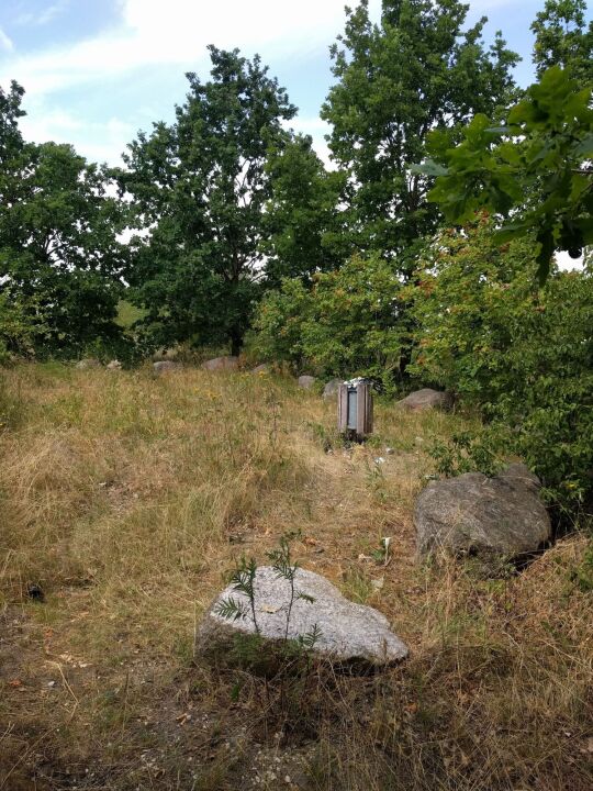 Auf dem Brodauer Zinken, einer neu entstandenen Halbinsel im Werbeliner See.