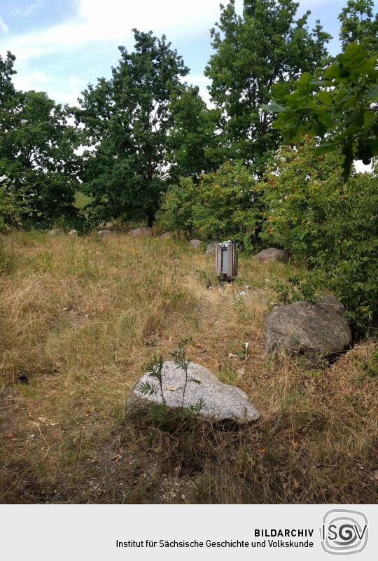 Auf dem Brodauer Zinken, einer neu entstandenen Halbinsel im Werbeliner See.
