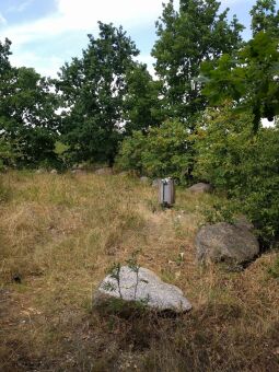 Auf dem Brodauer Zinken, einer neu entstandenen Halbinsel im Werbeliner See.