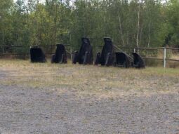 Bergbauliche Musealisierung am Aussichtspunkt Zitzschen am Zwenkauer See.