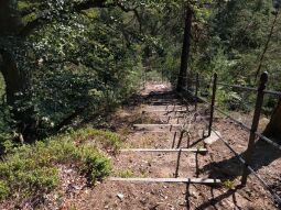 Bild: Der Aussichtspunkt Hoher Stein bei Böhrigen.