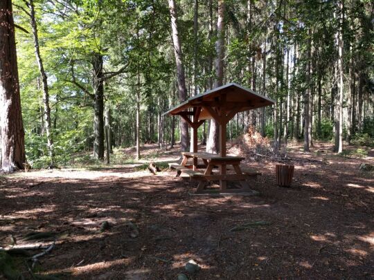 Ruhebank oberhalb des Aussichtspunktes Hoher Stein bei Böhrigen.