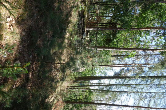 Aussichtspunkt Otterberg in Striegistal.