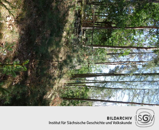 Aussichtspunkt Otterberg in Striegistal.