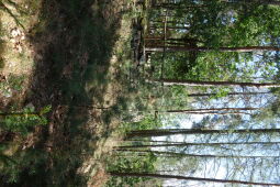 Bild: Aussichtspunkt Otterberg in Striegistal.