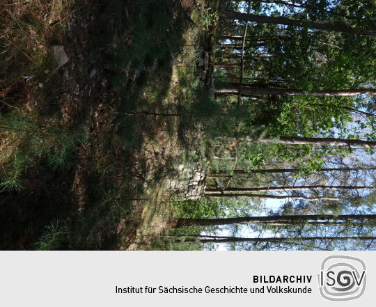 Aussichtspunkt Otterberg in Striegistal.