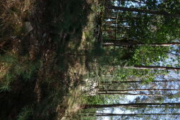 Bild: Aussichtspunkt Otterberg in Striegistal.