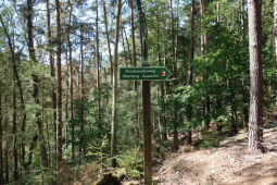 Bild: Aussichtspunkt Otterberg in Striegistal.