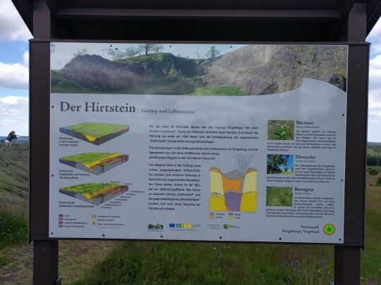 Infotafel über das Geotop Hirtstein bei Marienberg-Satzung.