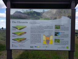 Infotafel über das Geotop Hirtstein bei Marienberg-Satzung.